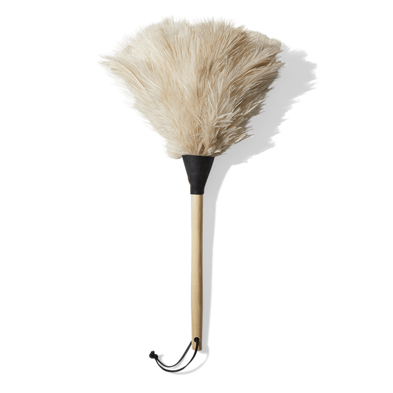Feather duster ostrich feather, Short