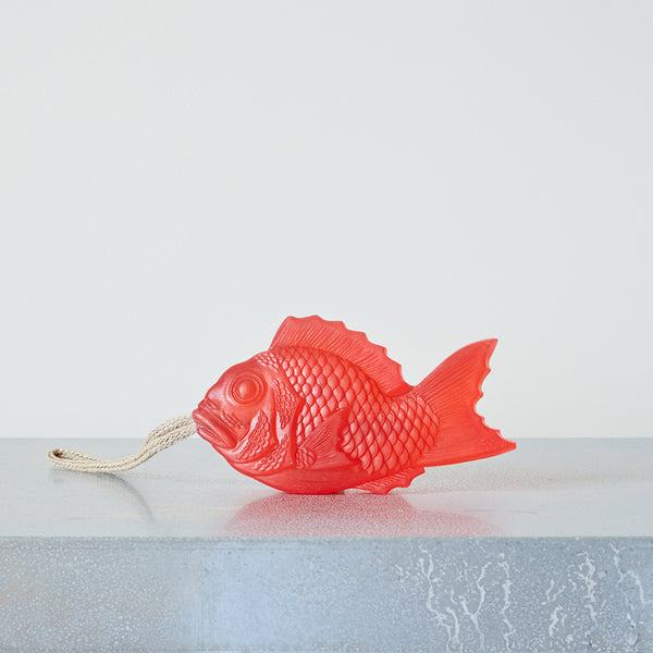 Fish Soap on a Rope